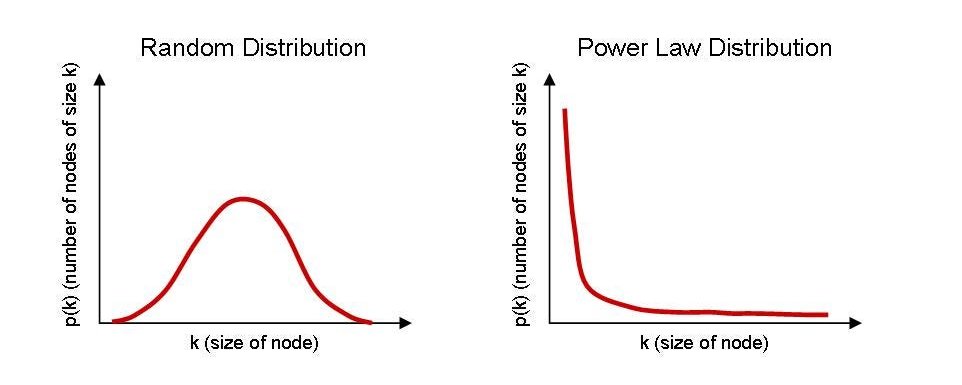 There is No Winner Chain because there is No Power Law