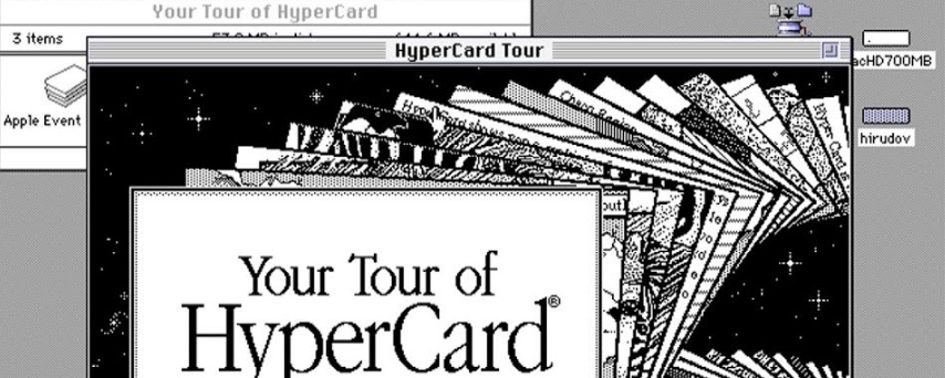 The Malleable Software That Never Was