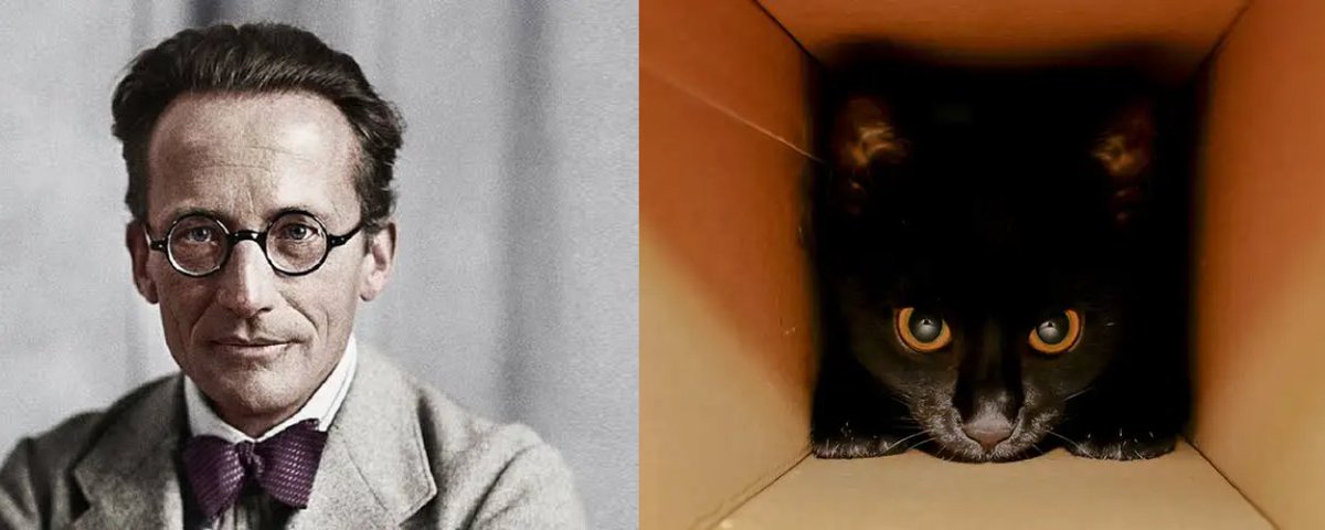 Schrödinger's Cat: The Biggest Mystery of Quantum Physics